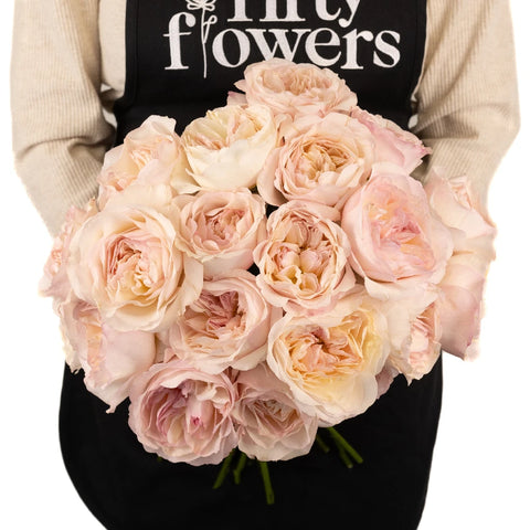 Pink Cloud David Austin Constance Garden Rose Apron - Image