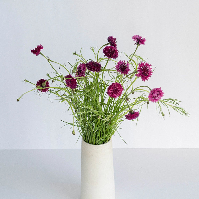 Pink Cornflowers Vase - Image