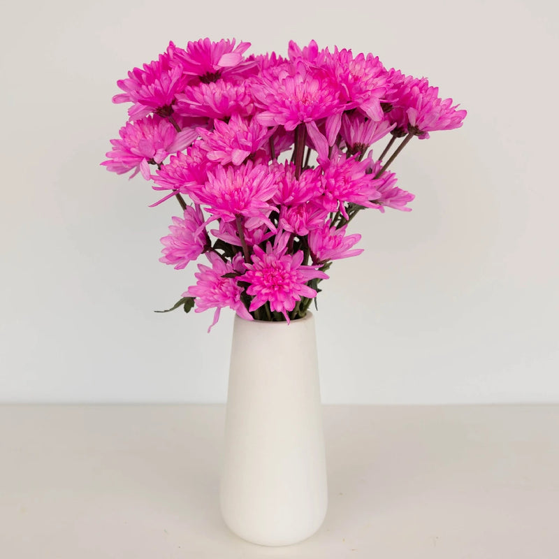Pink Cushion Bulk Enhanced Flower Vase - Image