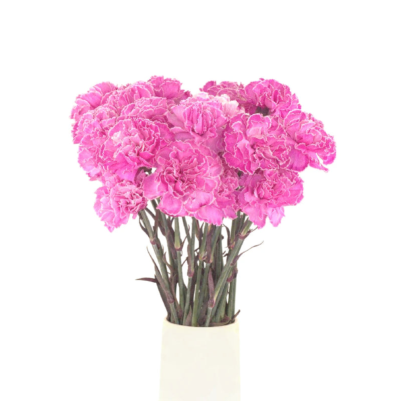 Pink Enhanced Carnation Flowers Vase - Image