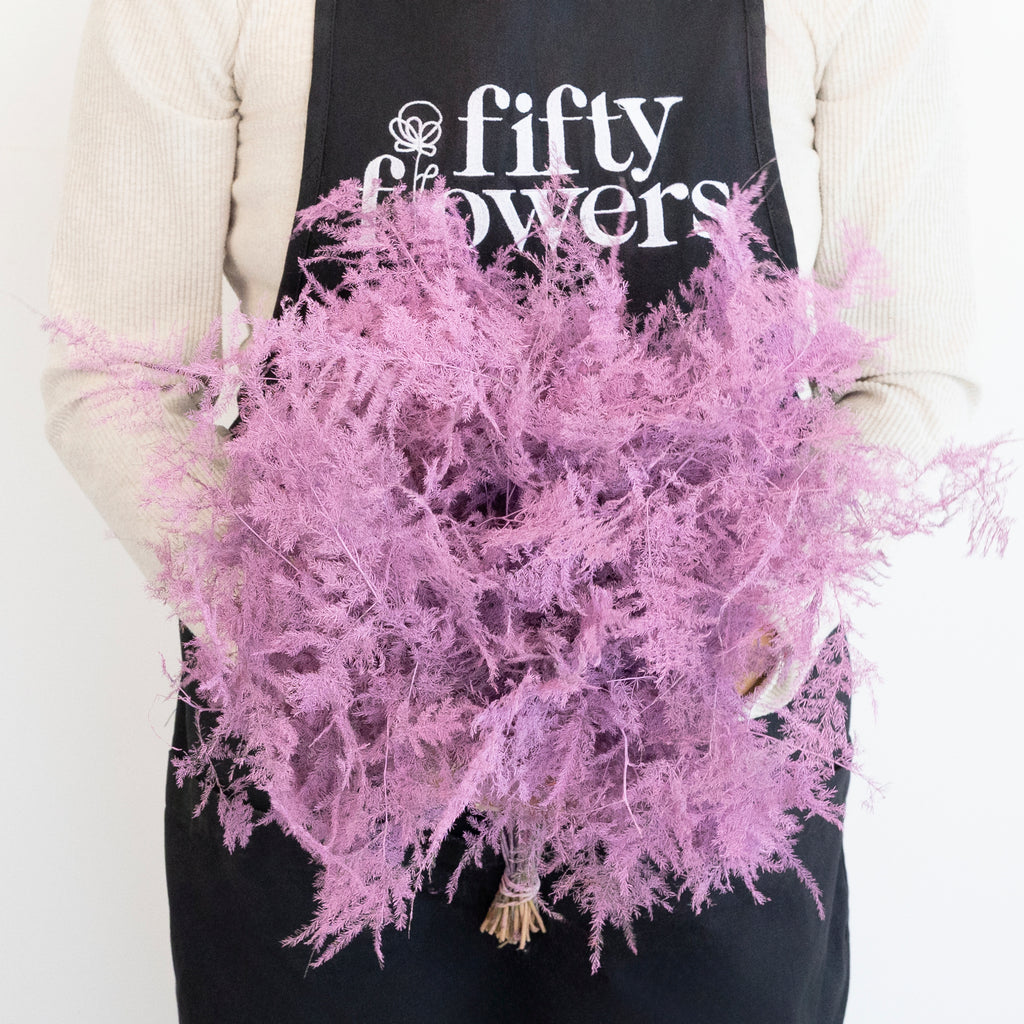 Buy Wholesale Pink Tinted Plumosa Fern Greenery in Bulk - FiftyFlowers