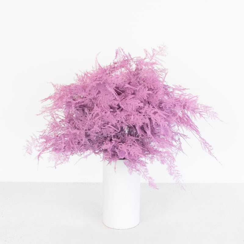 Pink Enhanced Plumosa Fern Greenery Vase - Image