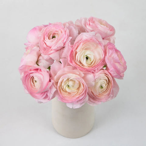 Pink Favola Cloony Ranunculus Flower Bunch in Vase