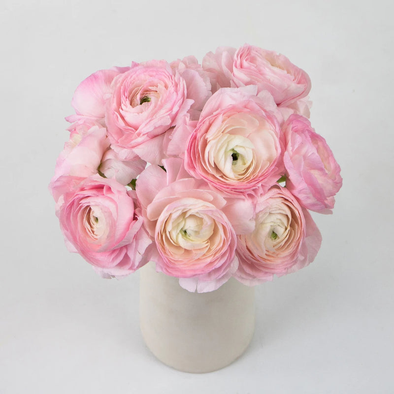 Pink Favola Cloony Ranunculus Flower Bunch in Vase
