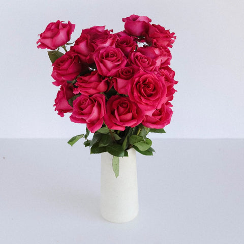 Pink Floyd Rockstar Rose Vase - Image