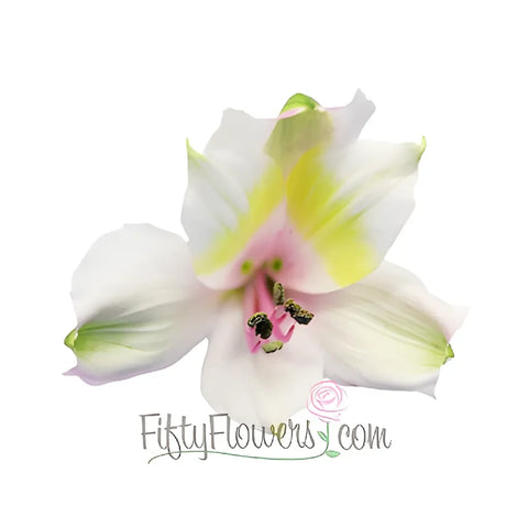 Pink Forest Peruvian Lilies Apron - Image