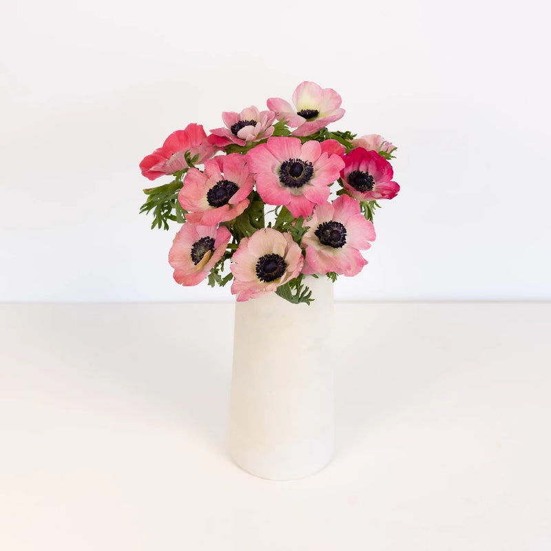 Pink Fresh Cut Anemone Flower Vase - Image