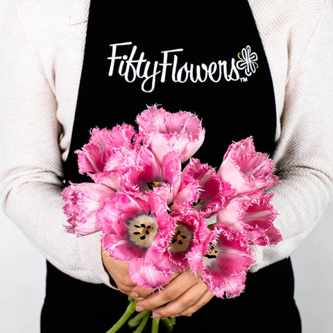 Pink Fringe Tulip Flower Bunch in Hand