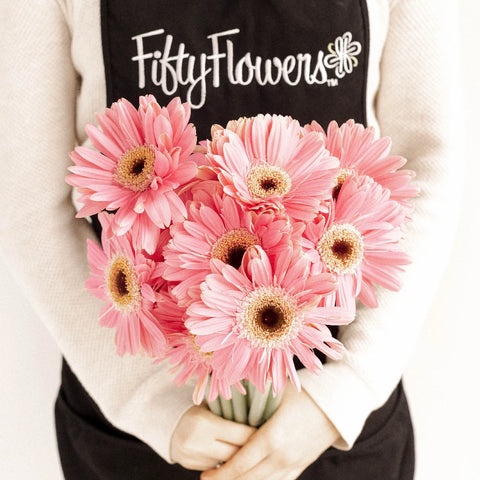 Pink Gerbera Daisy - Image