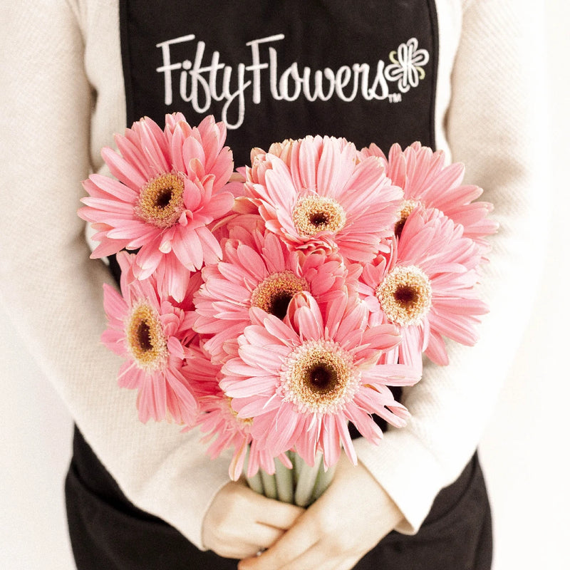 Pink Gerbera Daisy - Image