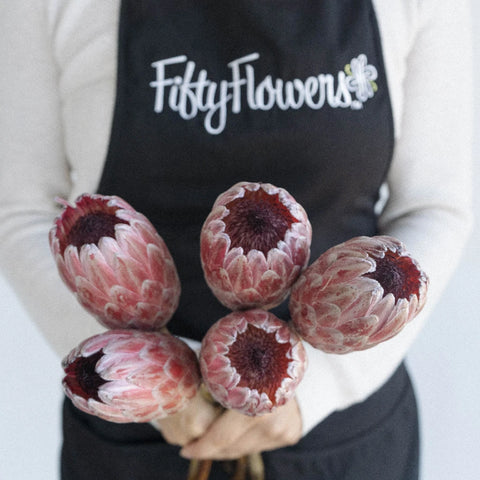 Pink Ice Protea Flower Apron - Image