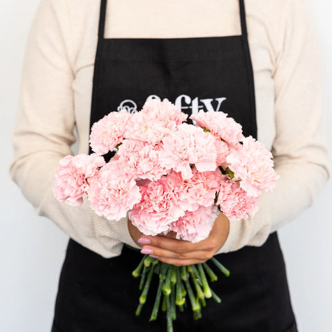 Pink Innocence Carnation Flowers Apron - Image