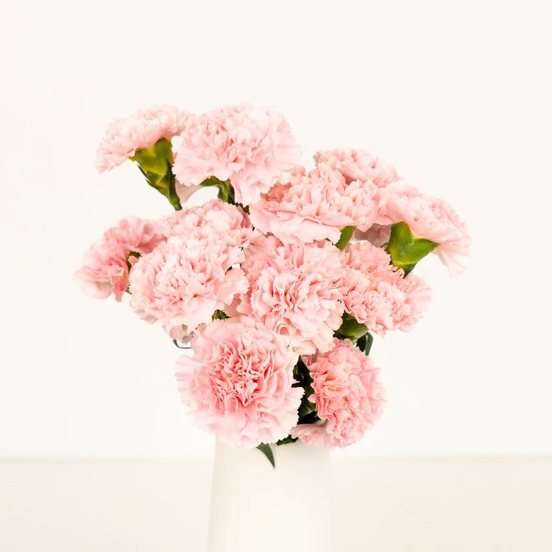 Pink Innocence Carnation Flowers Vase - Image