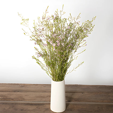 Lavender wax flowers for delivery