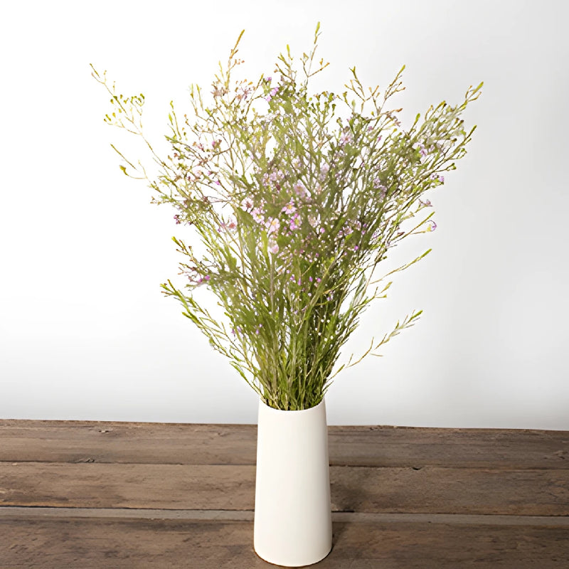 Lavender wax flowers for delivery