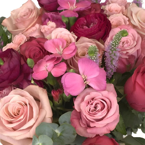 Pink Lovebirds Diy Flower Kit Close Up - Image