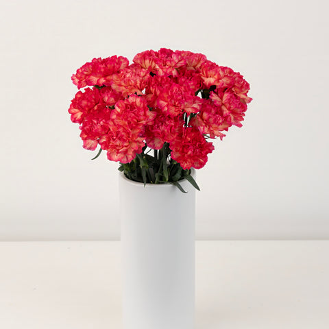 Pink Marmalade Fresh Cut Carnation Flowers Vase - Image