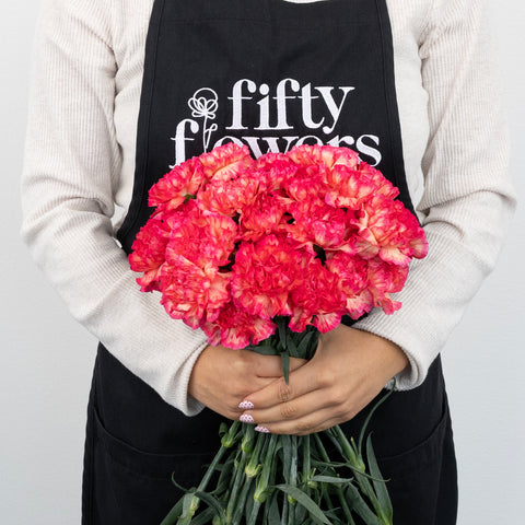 Pink Marmalade Fresh Cut Carnation Flowers Other - Image
