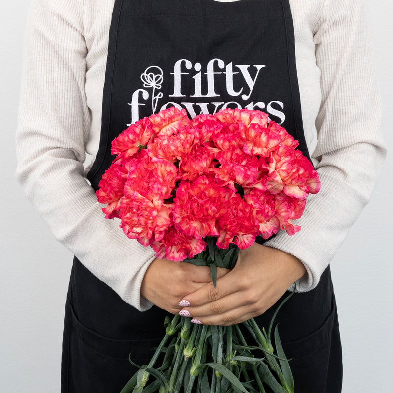 Pink Marmalade Fresh Cut Carnation Flowers Other - Image