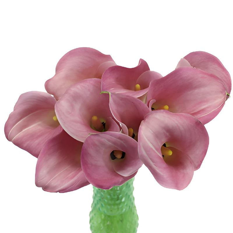 Dusty Rose Mini Calla Lily Flower