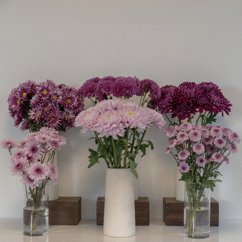 Pink Passion Mix Stem - Image