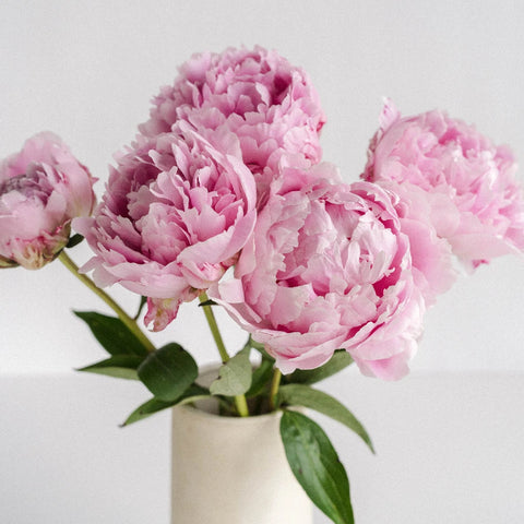 Pink Peonies Vase - Image