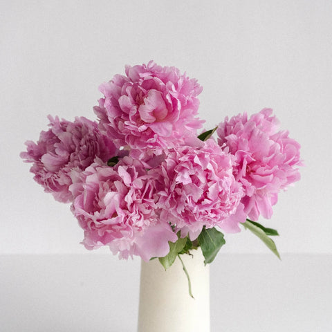 Pink Peony Vase - Image
