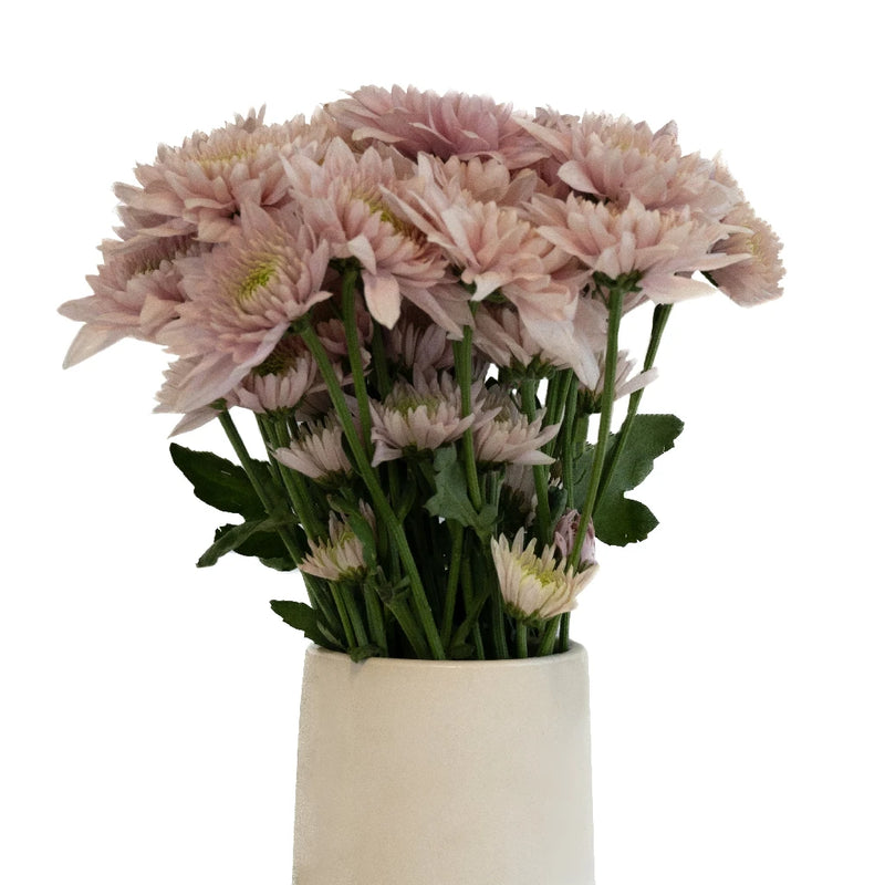 Pink Proposal Cushion Flower Vase - Image