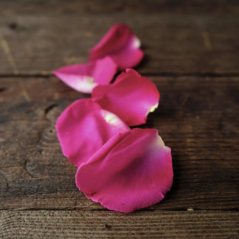 Purple Real Rose Petals