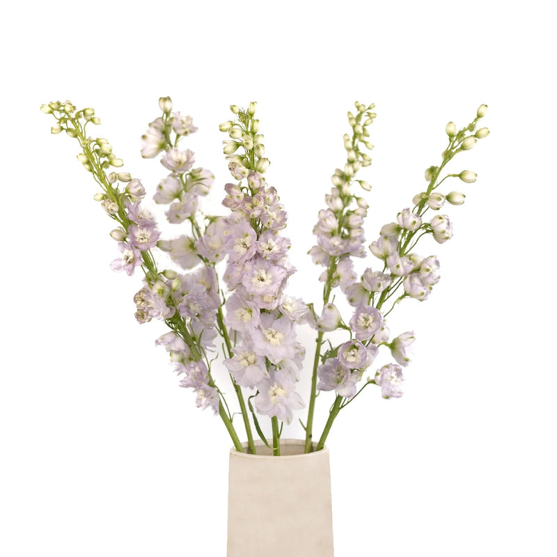 Pink River Designer Delphinium Flower Vase - Image