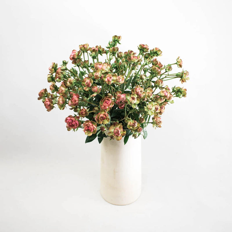 Pink Spray Rose Flower Bunch in Vase
