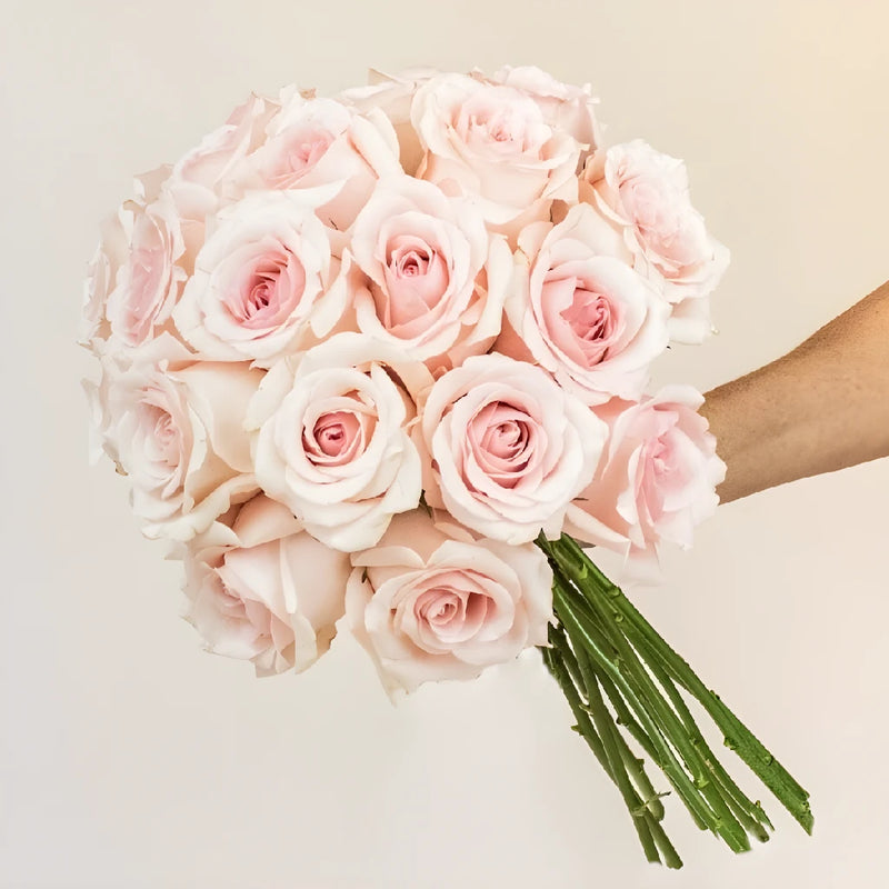 Pink Suspiro Roses Hand - Image