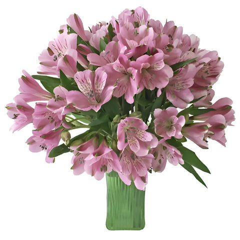 Pinky Lavender Peruvian Lily Flower - Image