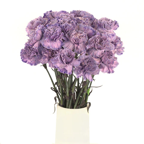 Pinky Purple Unicorn Bulk Carnations Vase - Image