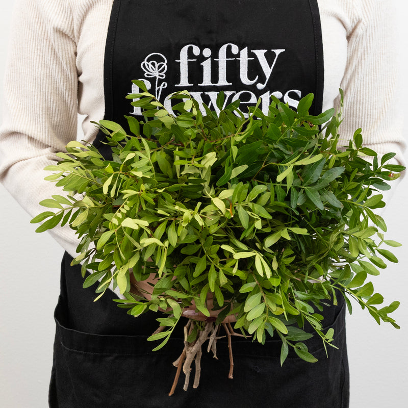 Pistachia Greenery Apron - Image