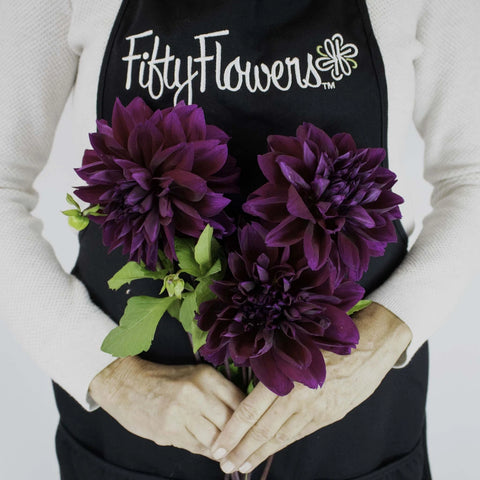 Plate Thomas Edison Dinner Dahlia Flower Bunch in Hand