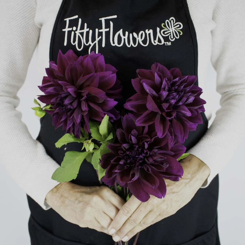 Plate Thomas Edison Dinner Dahlia Flower Bunch in Hand