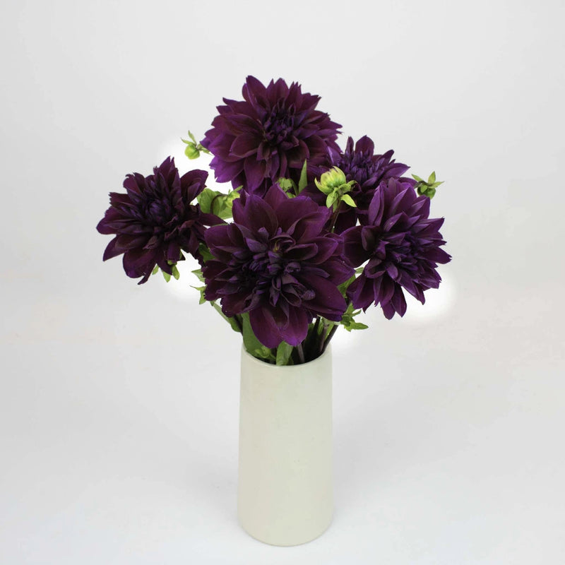 Plate Thomas Edison Dinner Dahlia Flower Bunch in Vase