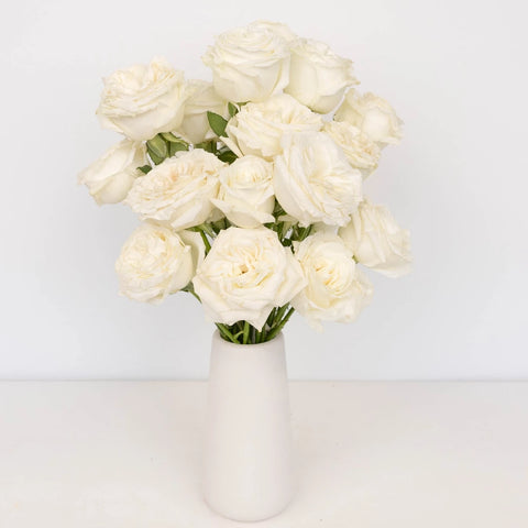 Playa Blanca Fresh Cut Rose Vase - Image