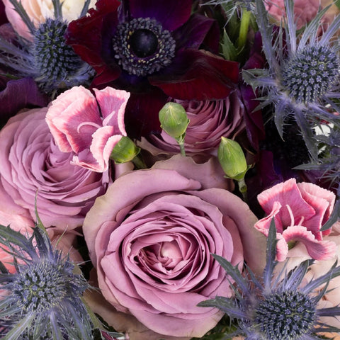 Pleasant Purple Diy Flower Kit Close Up - Image