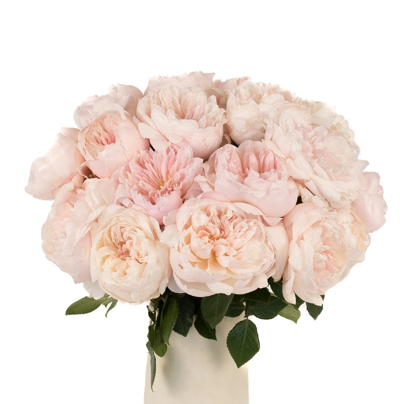 Pleasing Pink Garden Rose Vase - Image