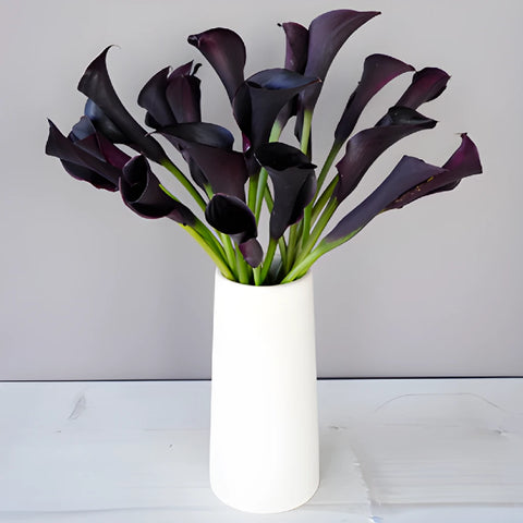 black arum lily flower Buy Wholesale Burgundy Black Mini Calla Lily Flower in Bulk