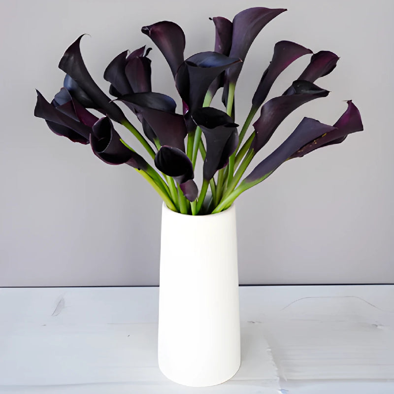 Burgundy Black Mini Calla Lily Flower