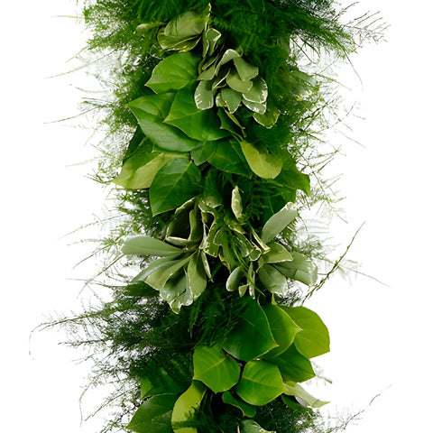 Plumosa Medley Greens Garland