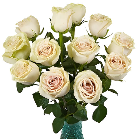 Blushing Sahara Sand Rose