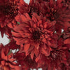 Posh Red Dahlia Style Cushion Flower