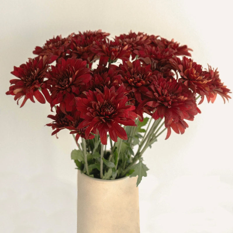 Posh Red Dahlia Style Cushion Flower Vase - Image