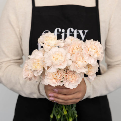 Powder Pink Carnation Flowers Apron - Image