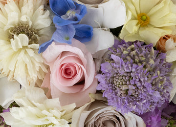 Powered Pastels Diy Flower Kit Stem - Image