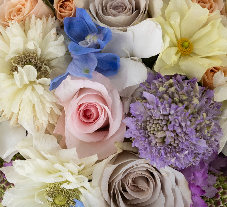 Powered Pastels Diy Flower Kit Stem - Image